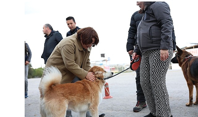 Mavişehir Mahallesi’nde Büyük Dönüşüm Devam Ediyor görseli