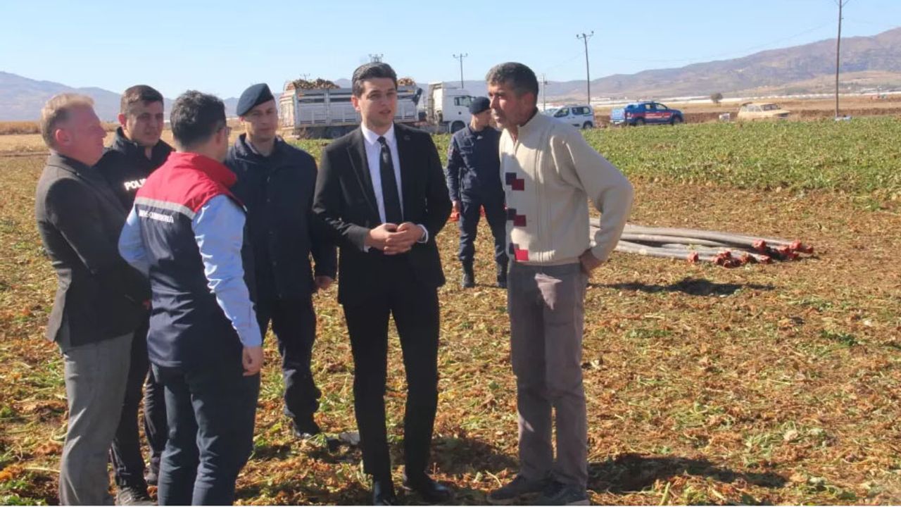 Burdur Tefenni ovası’nda pancar hasadı bereketi görseli