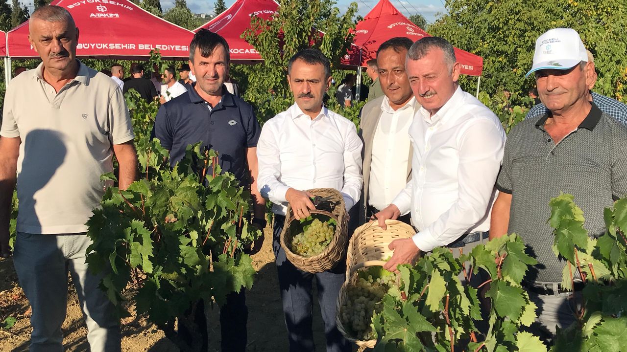 Başkan Büyükakın, İzmit’te üzüm hasadına katıldı görseli