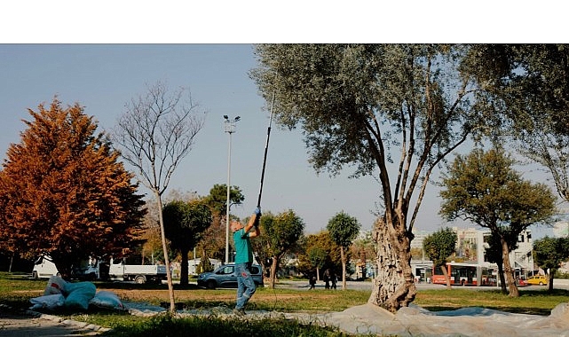 Balçova Belediyesi'nden Kentin Bereketine Sahip Çıkan Örnek Çalışma görseli