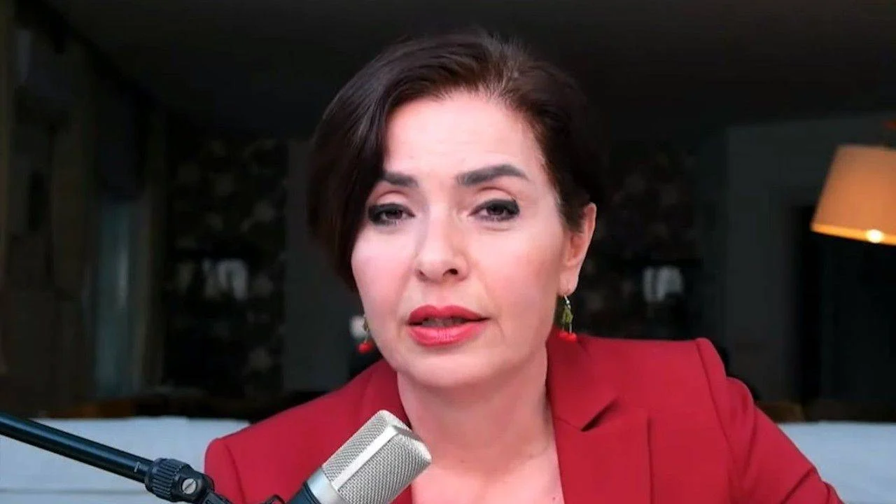 Özlem Gürses’e TSK İfadesi Nedeniyle Gözaltı görseli