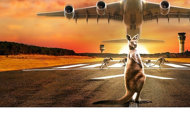10 Bölümlük Seri ‘Inside: Melbourne Havalimanı’, 22 Eylül Pazartesi 22.00’de National Geographic Ekranlarında Başlıyor! görseli
