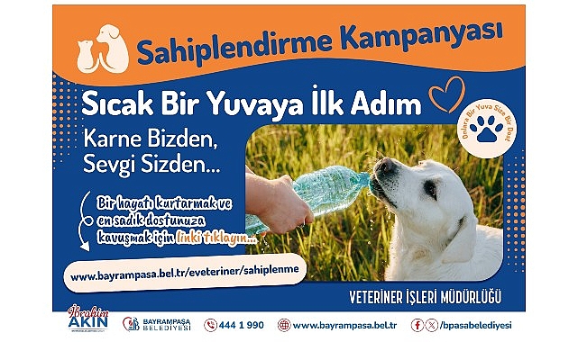 Bayrampaşa’da ‘can dostlar’ yuvalarını bekliyor görseli