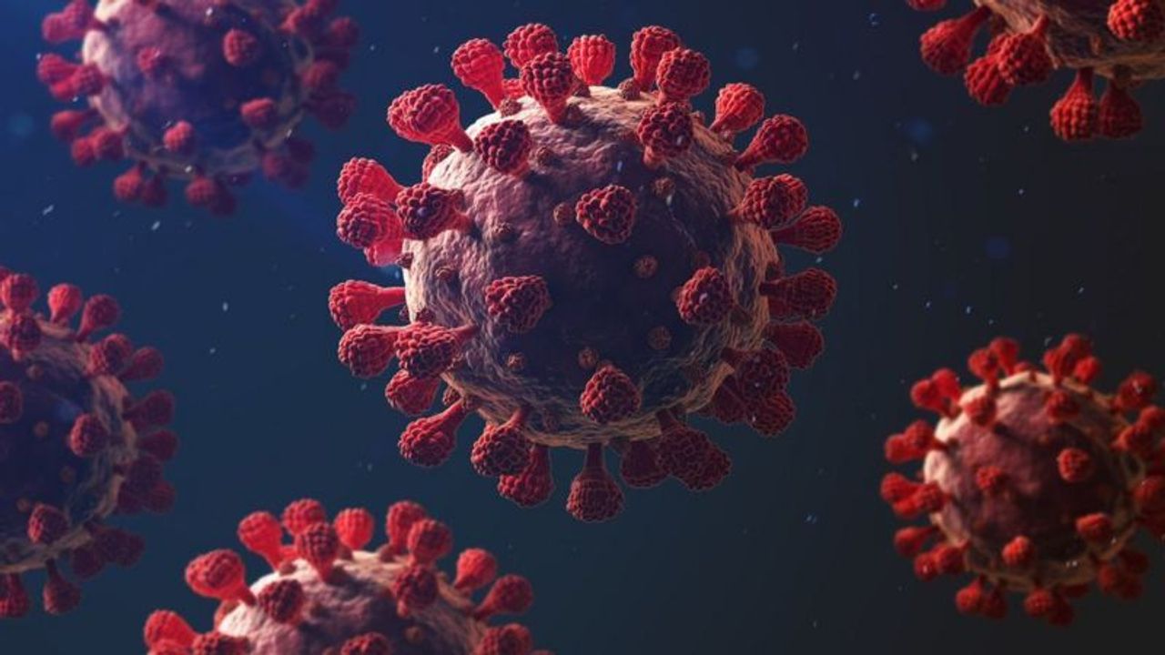 Hindistan’daki Nipah vakaları Asya’yı alarma geçirdi görseli