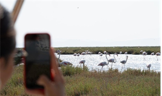 Flamingo Yolu turları başladı görseli