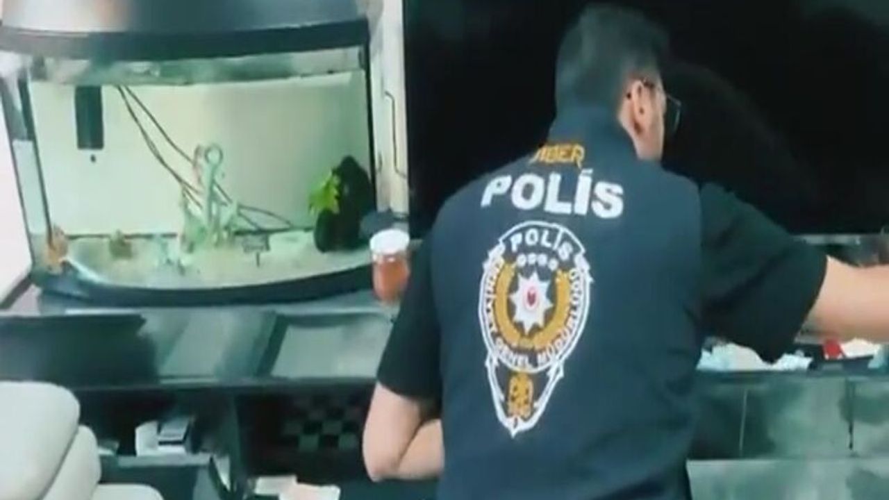 Siber Suçlarla Mücadele Kapsamında 170 Şüpheli Yakalandı görseli