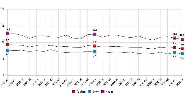 İşgücü İstatistikleri, Temmuz 2025 görseli