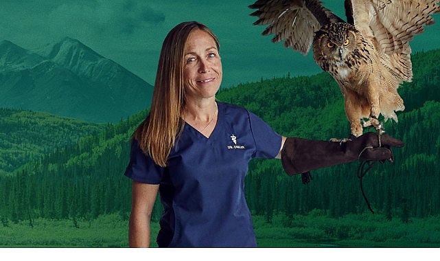 6 Bölümden Oluşan ‘Yukon Veterineri Özel’, 5. Sezonu İle 4-11-18 Şubat Çarşamba Saat 20.00’de İki Bölüm Art Arda National Geographic WILD Ekranlarında! görseli