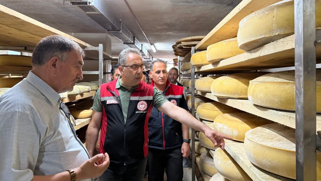 Boğatepe’de hayvancılık ve peynir yolculuğu: Geleneksel üretim yerinde incelendi görseli