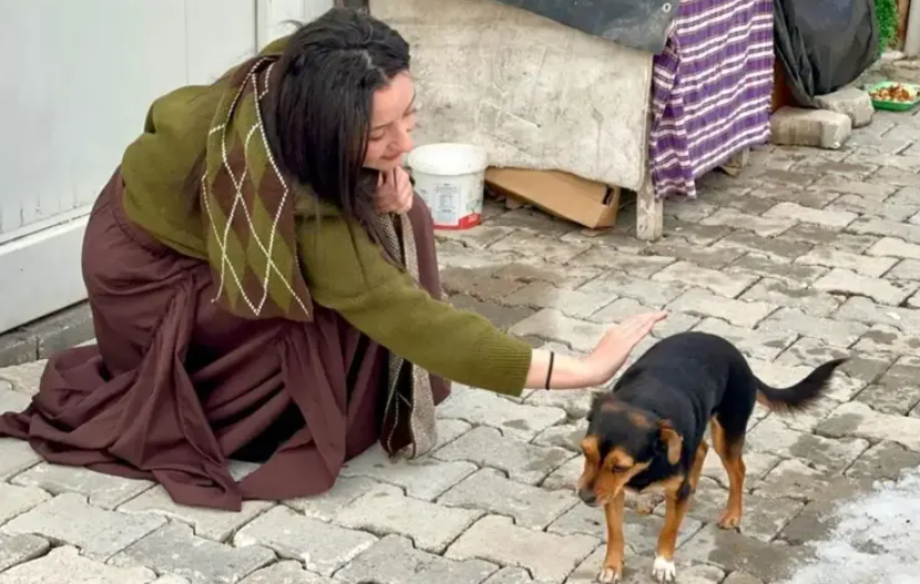 Boncuk ve Fatma Arat: Bir Konteyner Kent Mucizesi görseli