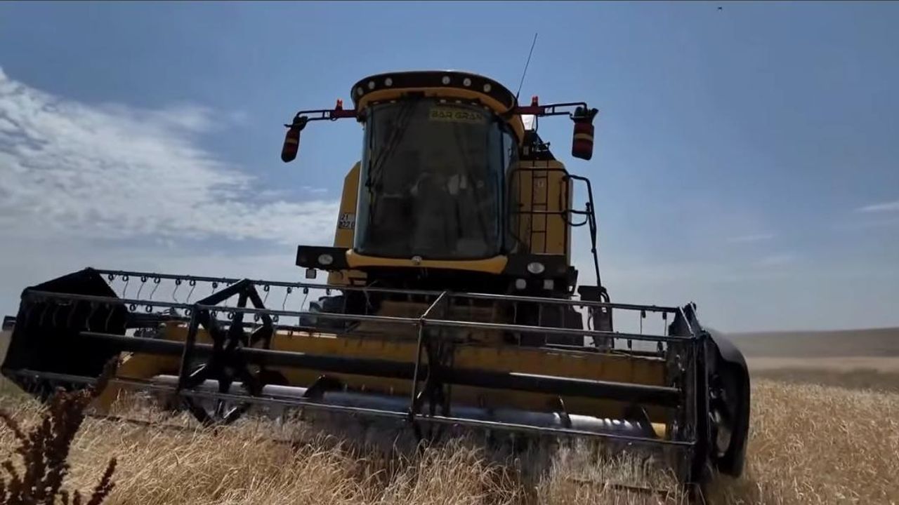 Kars’ta hasat mevsimi başladı: İlk arpa Digor Yeniköy’de biçildi görseli