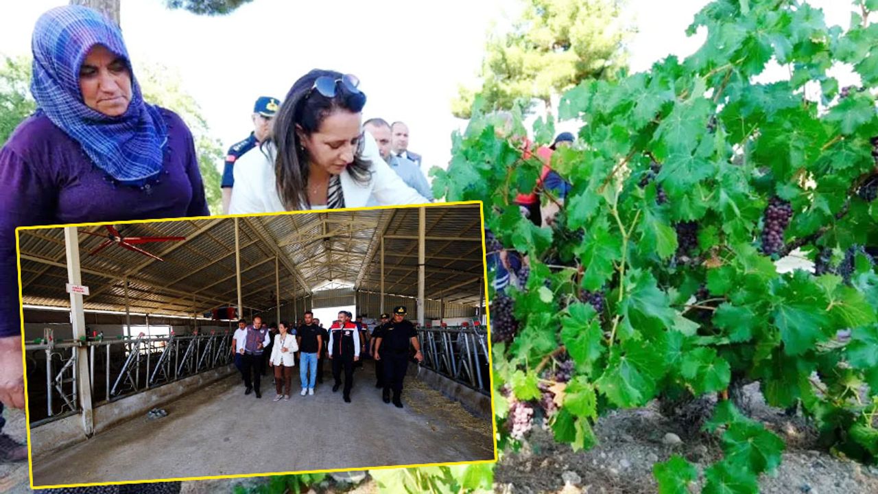 Kemer’de üreticiye destek mesajı: Tarım ve hayvancılık güçlenecek görseli