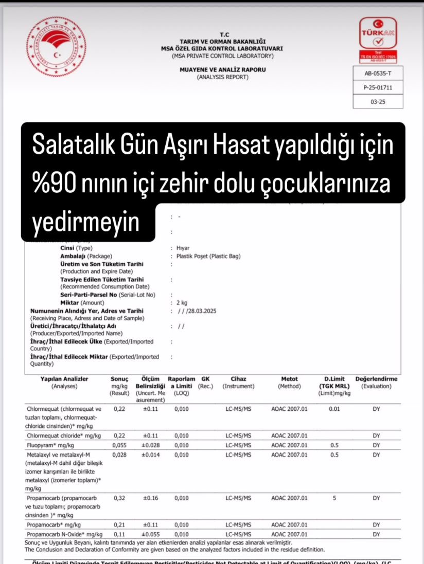 SALATALIKLAR ZEHİR SAÇIYOR görseli