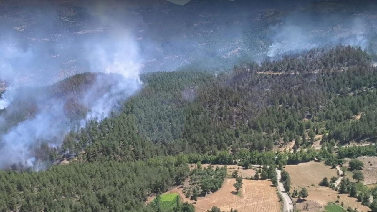 Isparta’da korkutan yangın kısa sürede kontrol altına alındı görseli