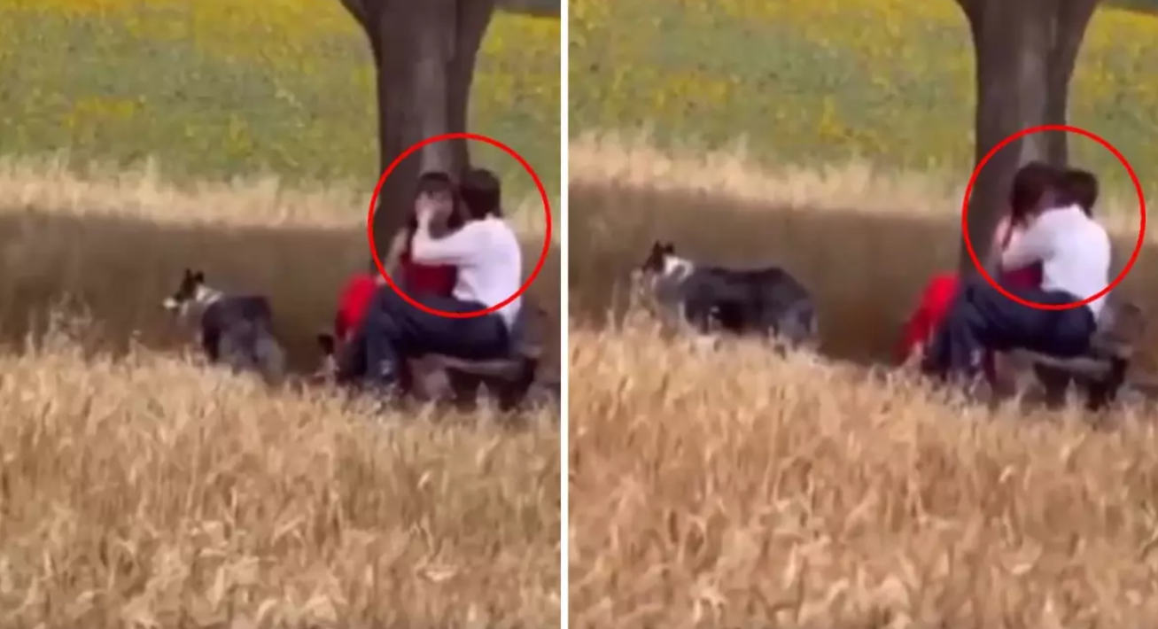 "Valla Öpüştüler Bayram!" görseli