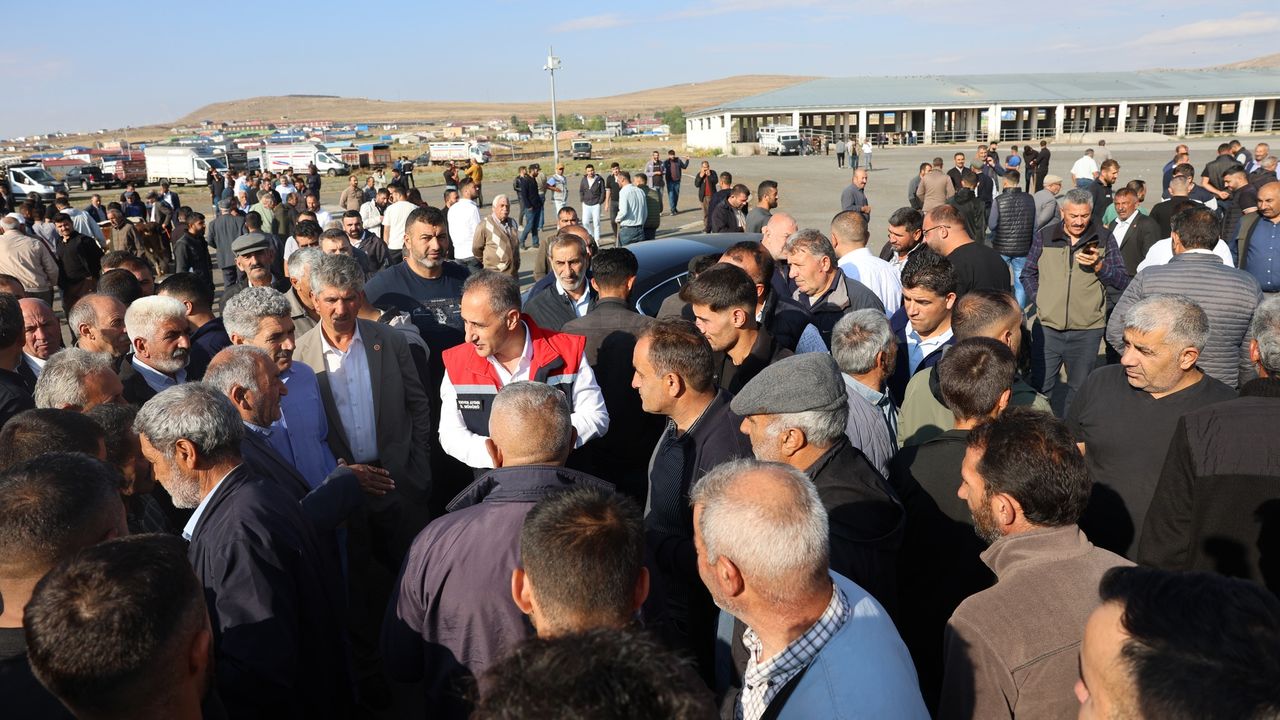 Kars Hayvan Pazarı açıldı görseli