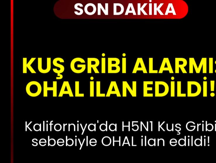Kuş gribi pandemisi ilan edildi görseli