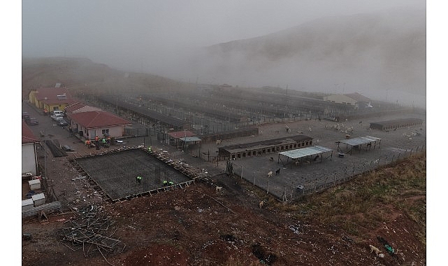 Sokak Hayvanları İçin Modern, Sağlıklı ve Doğal Yaşam Projesi Başladı görseli