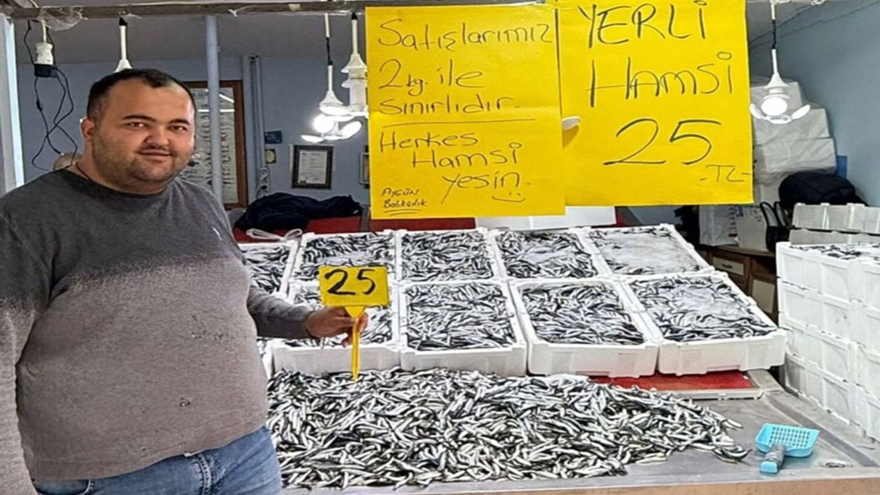 Fatsa’da hamsi fiyatı 20 TL’ye düşebilir görseli
