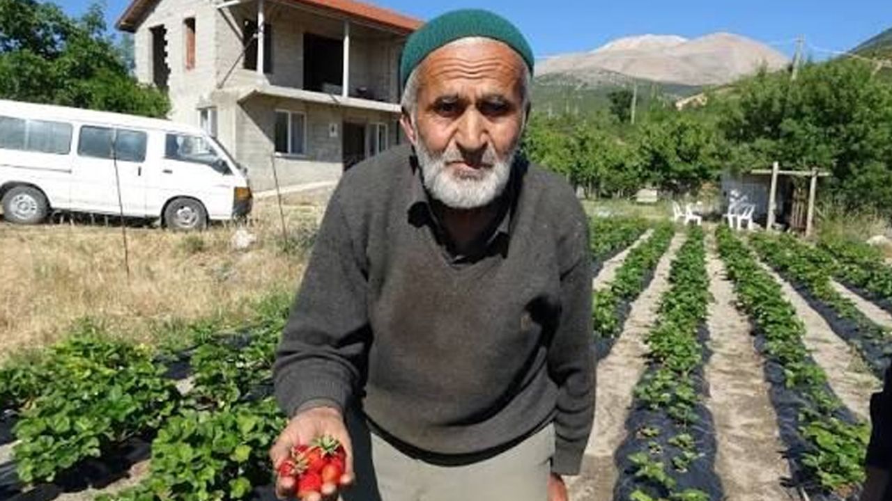 Isparta'da Hayır bahçesi yetim kaldı görseli