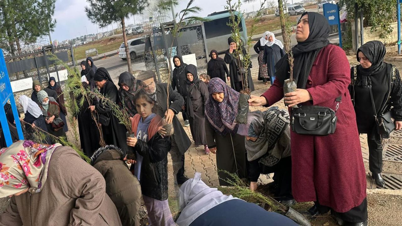Batman'a ücretsiz fidan dağıtımı görseli