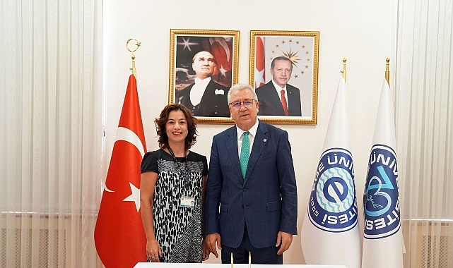 Eksozom Destekli Göz Yüzeyi Kök Hücre Kültürü görseli