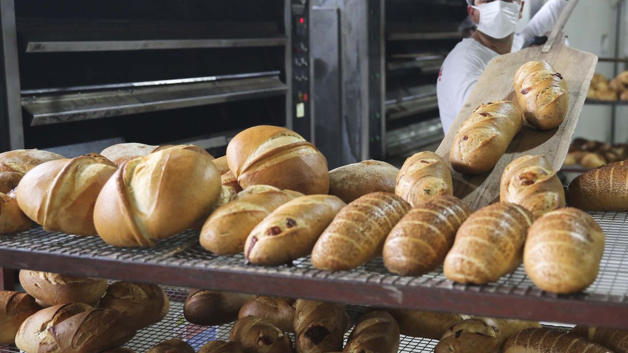 Halk ekmek 5 yeni ekşi mayalı ekmek daha üretti görseli