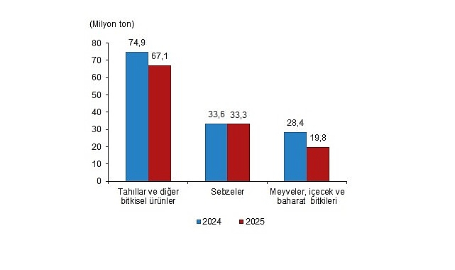 Bitkisel Üretim 2.Tahmini, 2025 görseli