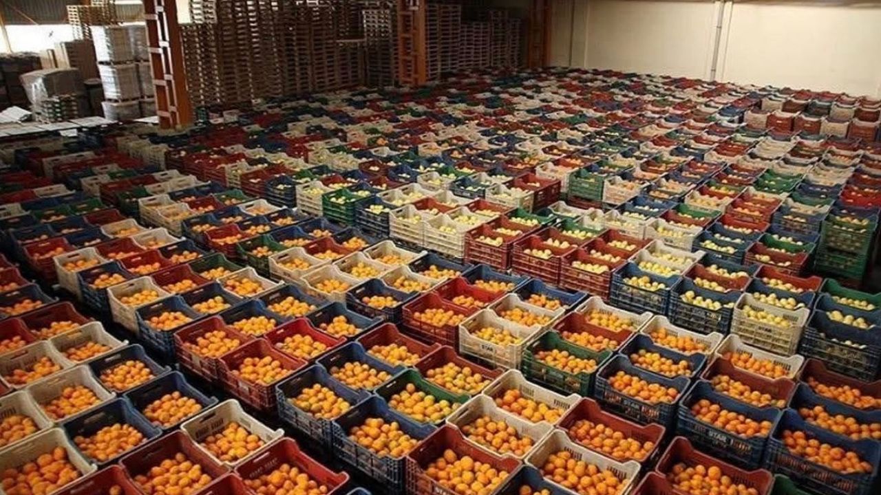 Antalya ihracatının yüzde 57’si tarımdan görseli