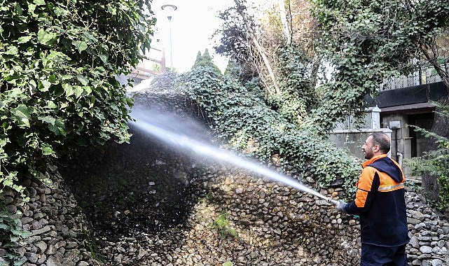 Başkent’in Simgesi Kuğulupark’ta Buharlı Temizlik görseli