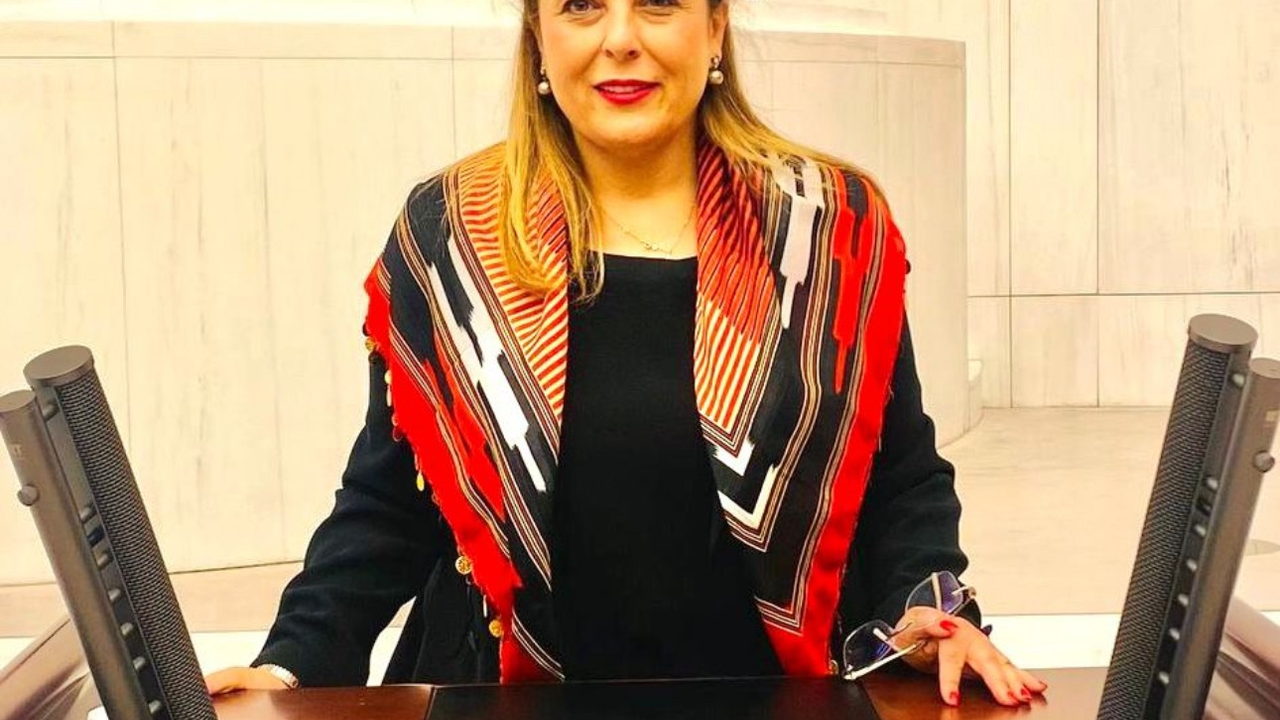 Elvan Işık Gezmiş yeni dönemde önemli görevler alacak görseli