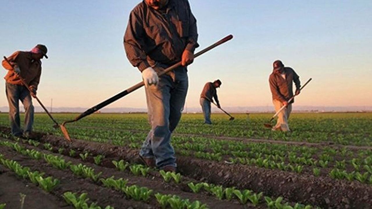 Çiftçilere 1,7 milyar liralık destekleme ödemesi yapılıyor görseli