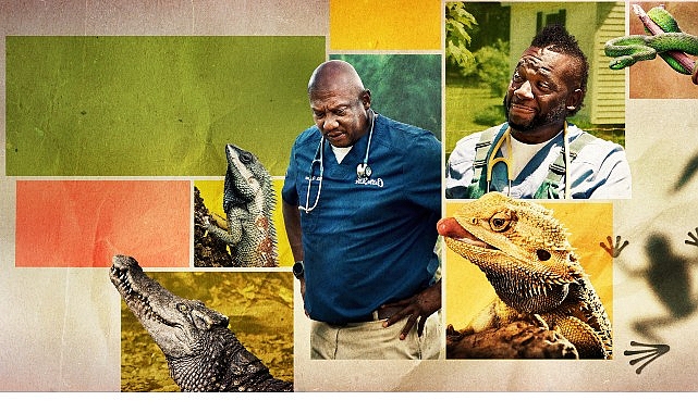 12 Bölümden Oluşan ‘Veteriner Dostlar’ın 5. Sezonu, 9 Şubat Pazartesi Saat 20.00’de National Geographic WILD Ekranlarında Başlıyor! görseli