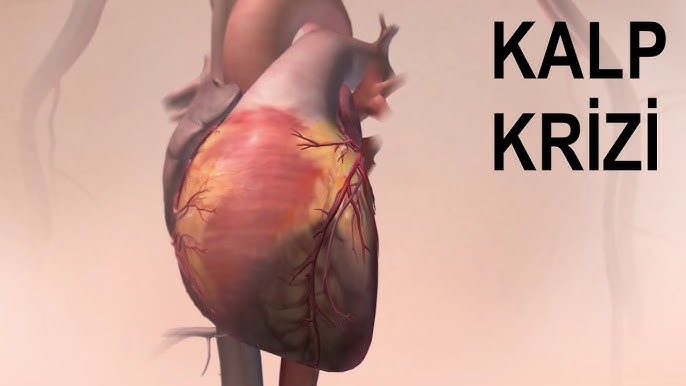 Kalp Krizi Nedir? Neden Olur? görseli