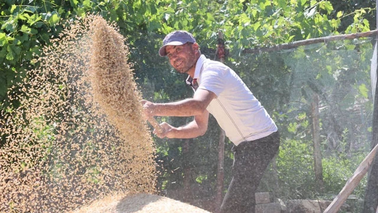 Antalya’da tarımda destek kazandırdı görseli