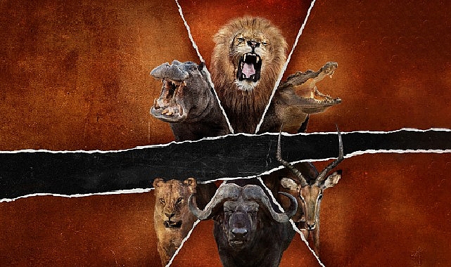 ‘Ölümcül Safari: Büyük Kedilerin Savaşı’, 15 Şubat Pazar Saat 20.00’de National Geographic WILD Ekranlarında! görseli