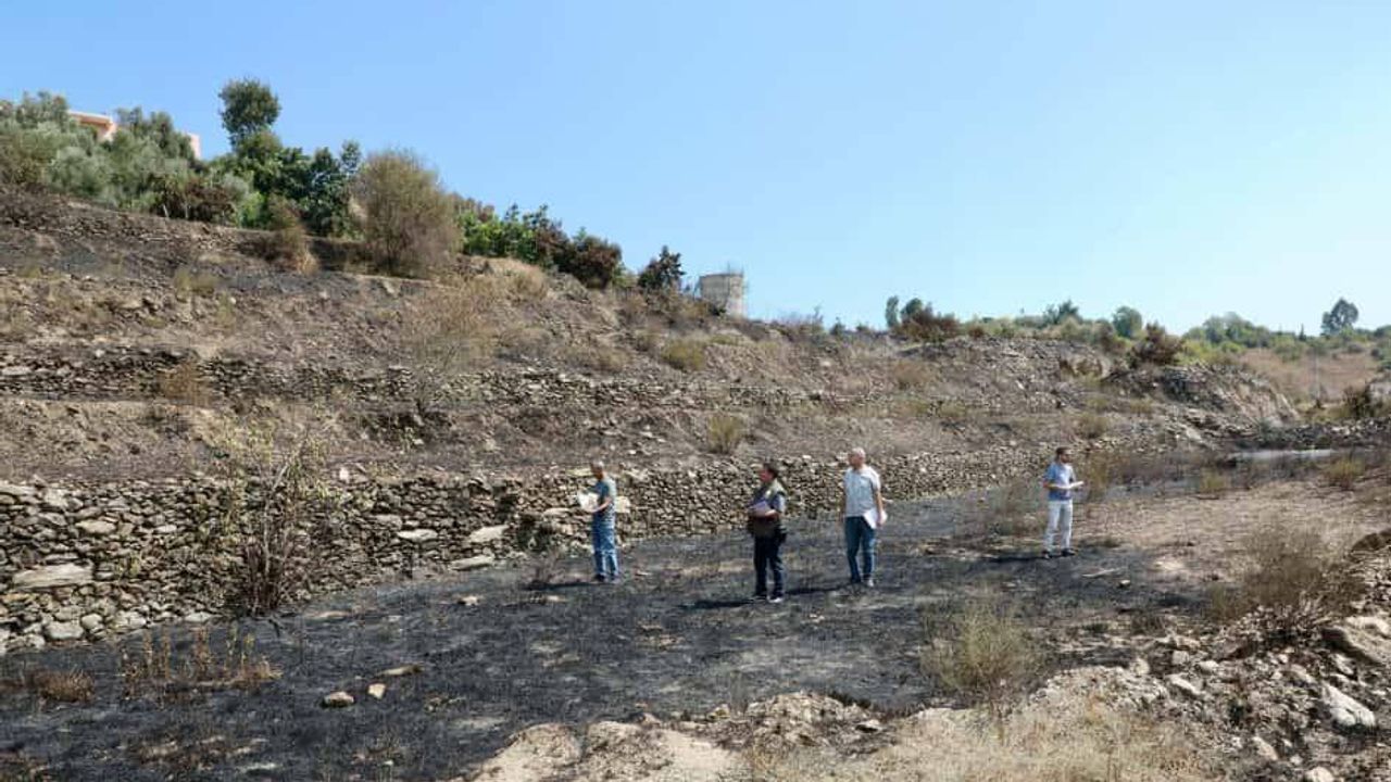 Alanya’daki yangınlar söndürüldü, hasar tespit çalışmaları başladı görseli