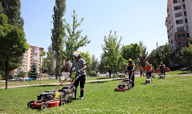 Çankaya parklarında çimler biçme ve ot temizleme mesaisi görseli