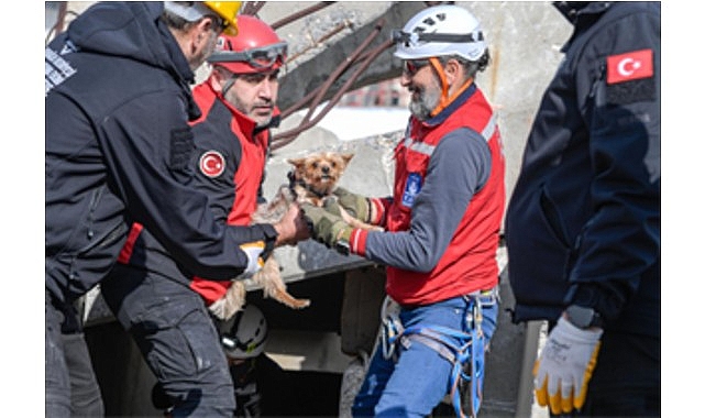 Afetzede hayvanlar için ilçelere arama kurtarma eğitimi görseli
