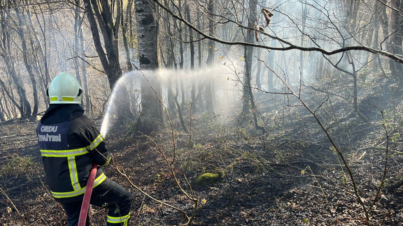 Ordu’da son bir haftada 40 yangın görseli