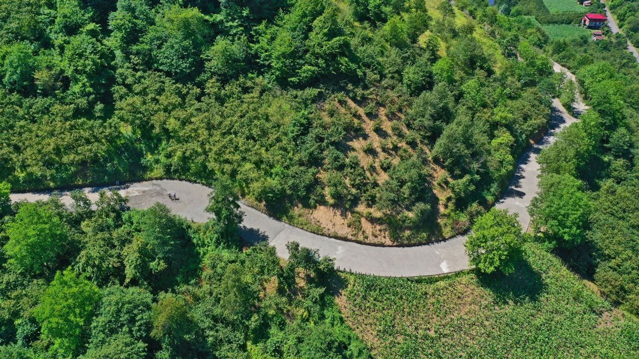 Ünye Yeniköy'de yol sevinci görseli