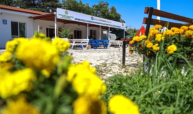 Büyükşehir’den kadınlara üretim desteği görseli