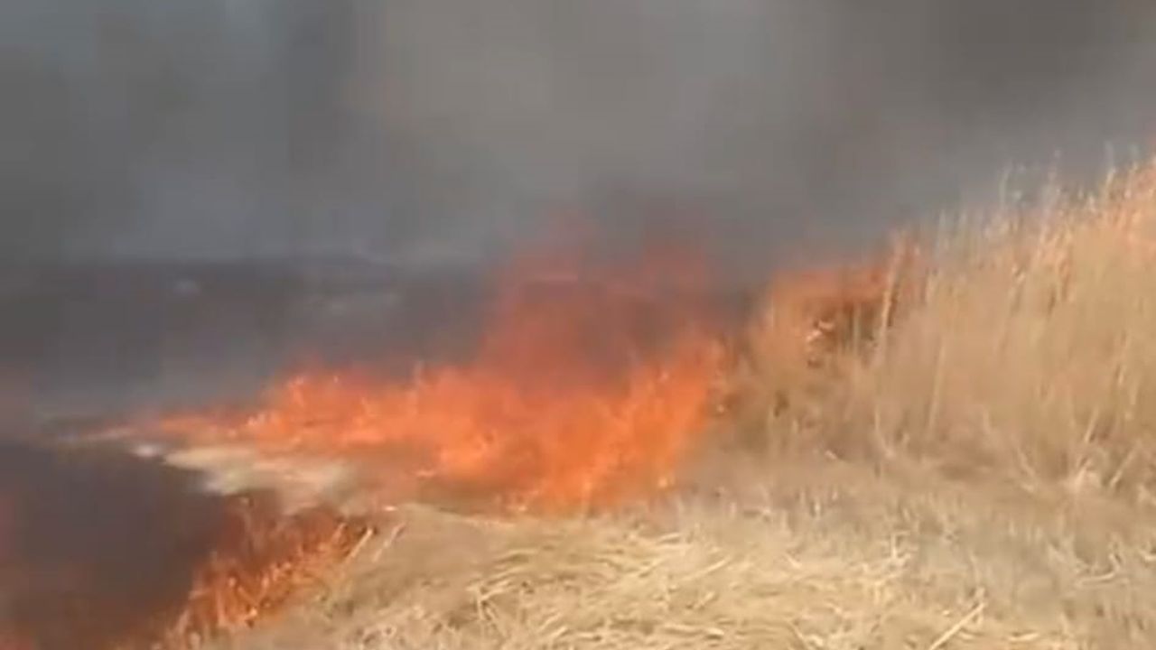 Beypazarı’nda anız ve sap yangını görseli