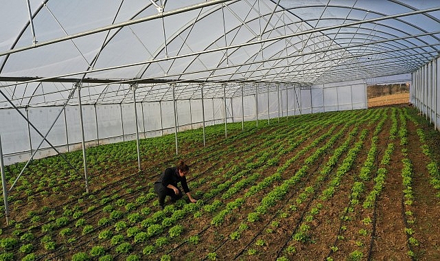 Büyükşehir'den çiftçilere modern sera desteği görseli