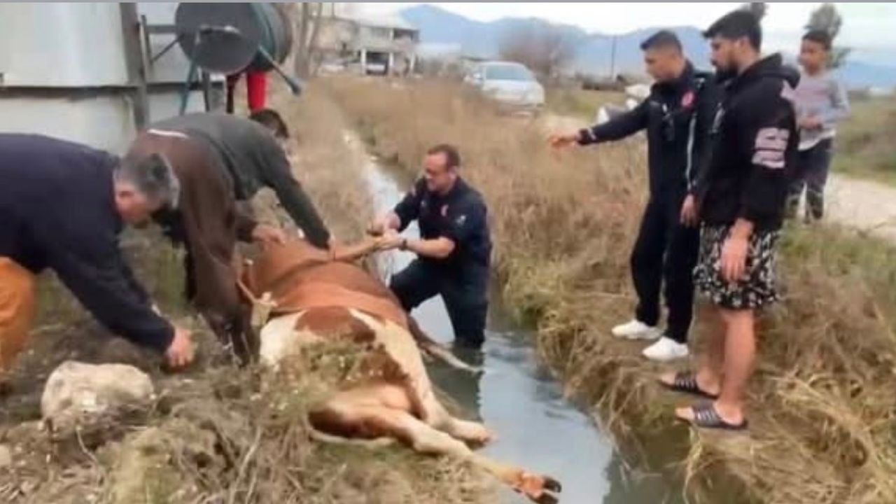 Serik’te itfaiyeden hayat kurtaran müdahale görseli