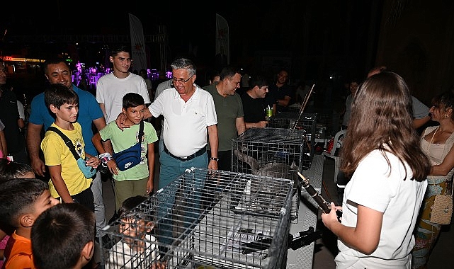 Kemer’de sokak hayvanları yararına ikinci konser görseli