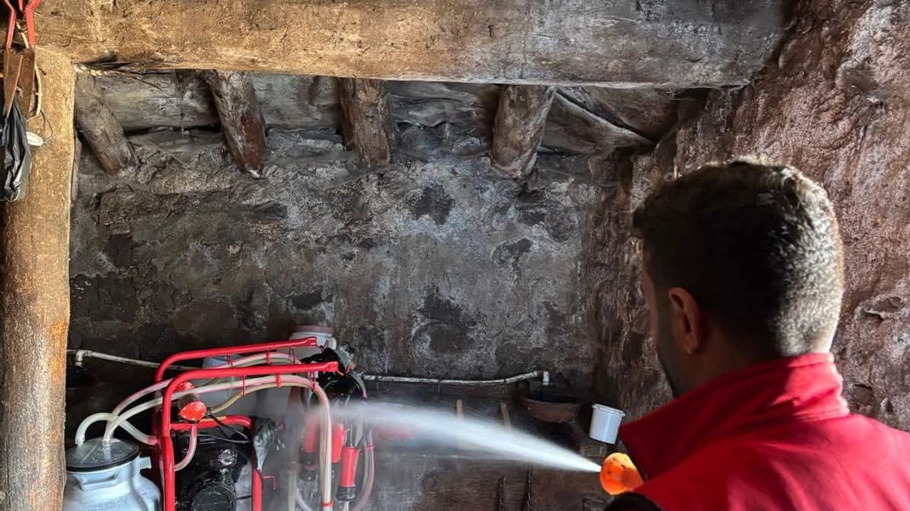 Susuz'da şap hastalığına karşı aşılama ve dezenfekte çalışmaları devam ediyor görseli
