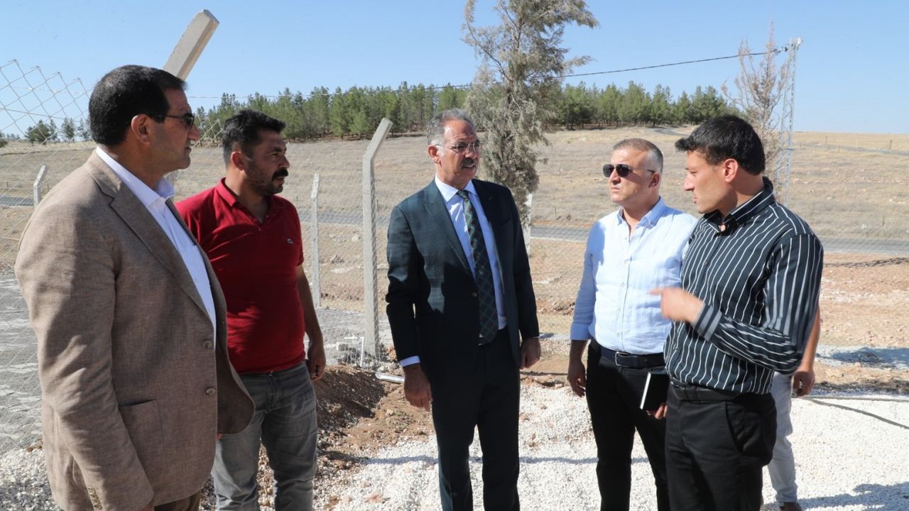 Eyyübiye’de Hayvan Bakımevi hizmete giriyor görseli