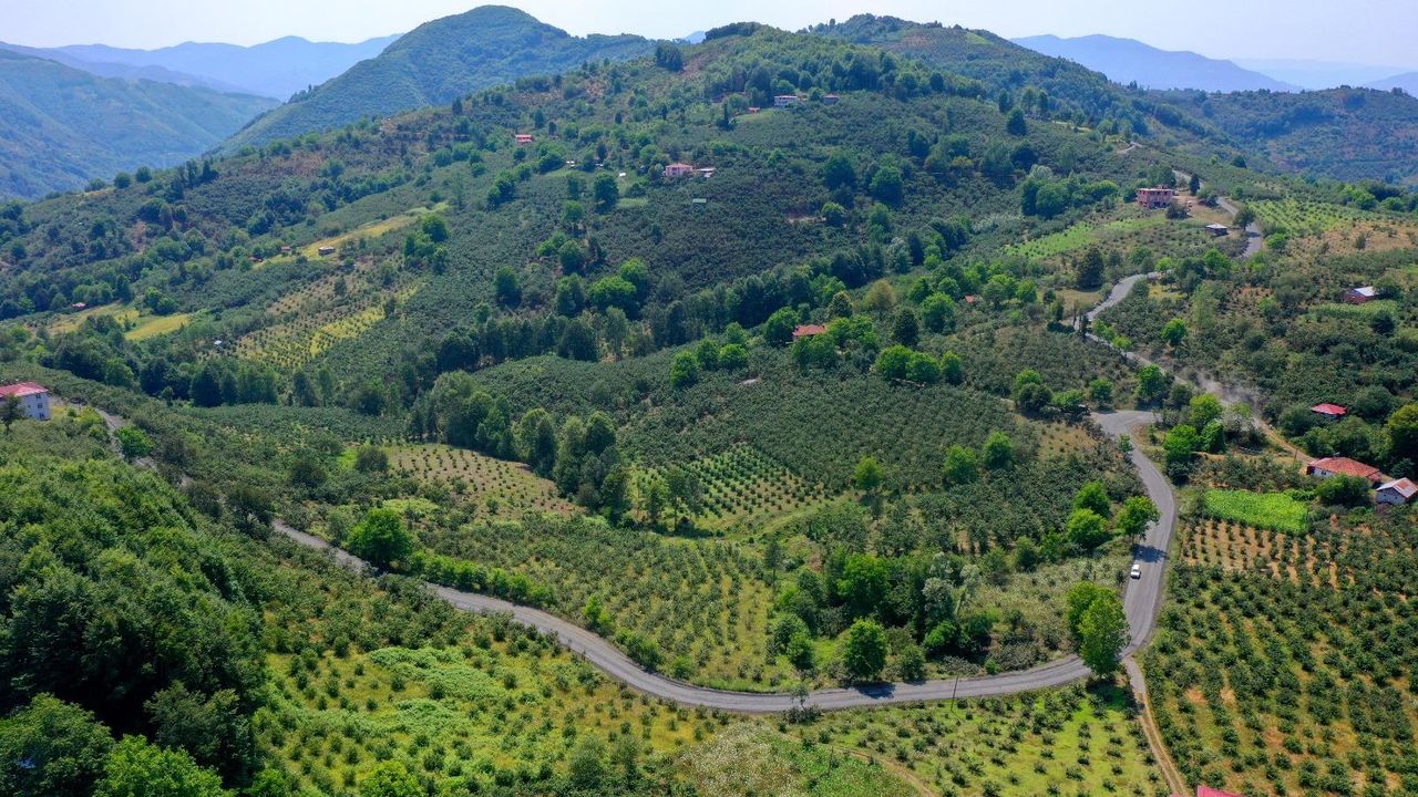 Ordu'dan Samsun'a bağlantı sağlayan yolda son düzlük görseli