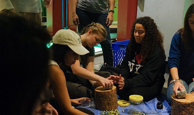 Ayvalık’ta Uluslararası Gençlik Projesi Kapsamında Zeytin Kültürü Deneyimi görseli